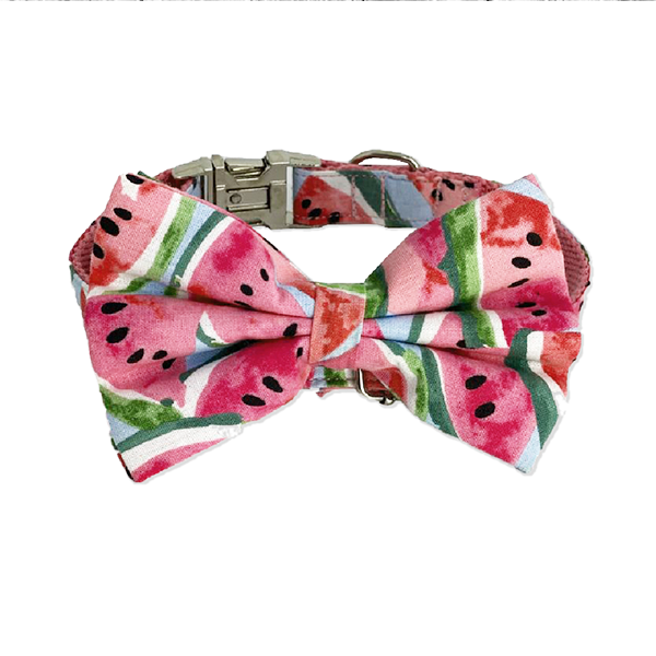 Watermelon Bow Tie By: Hanz & Oley