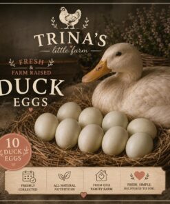 Fresh Duck Eggs Tray of 10