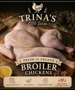 Broiler Chicken Fresh or Frozen