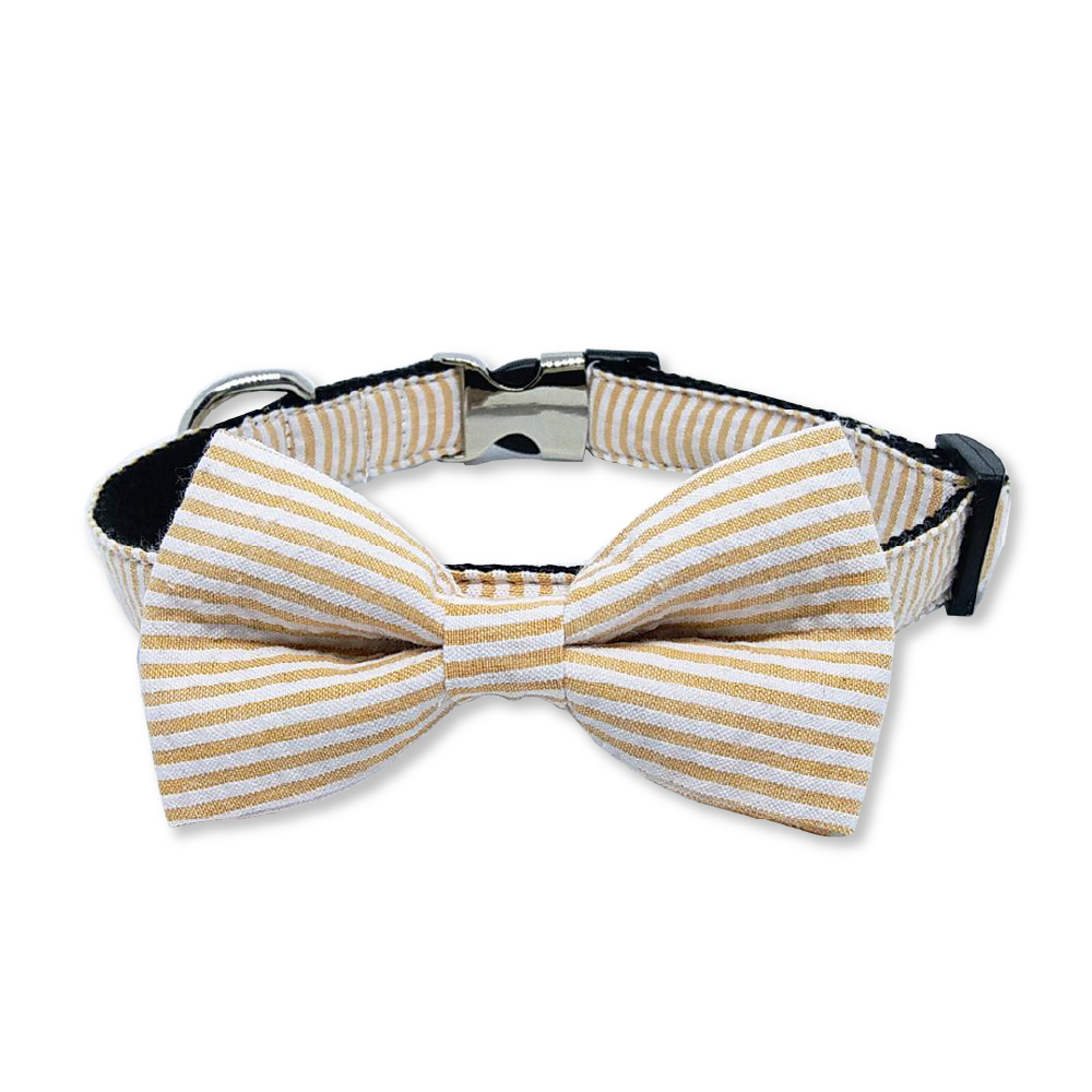 RiverSide - Orange Striped Bow Tie and Collar Set