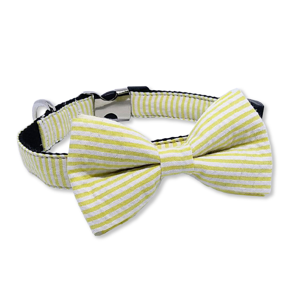 RiverSide - Yellow Striped Bow Tie and Collar Set