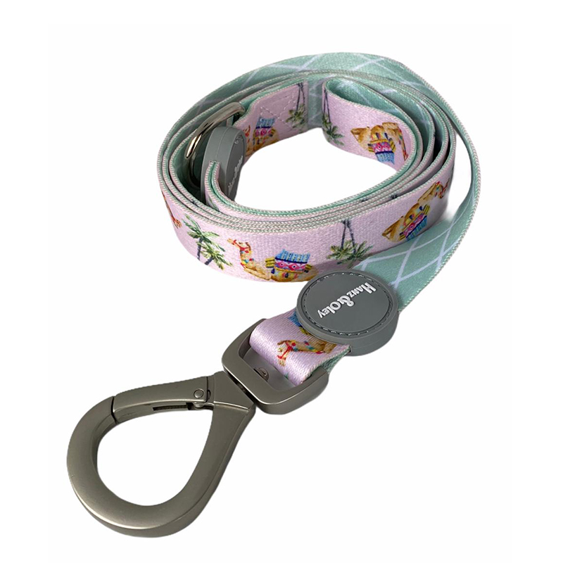 Camelia Candy Pink Leash