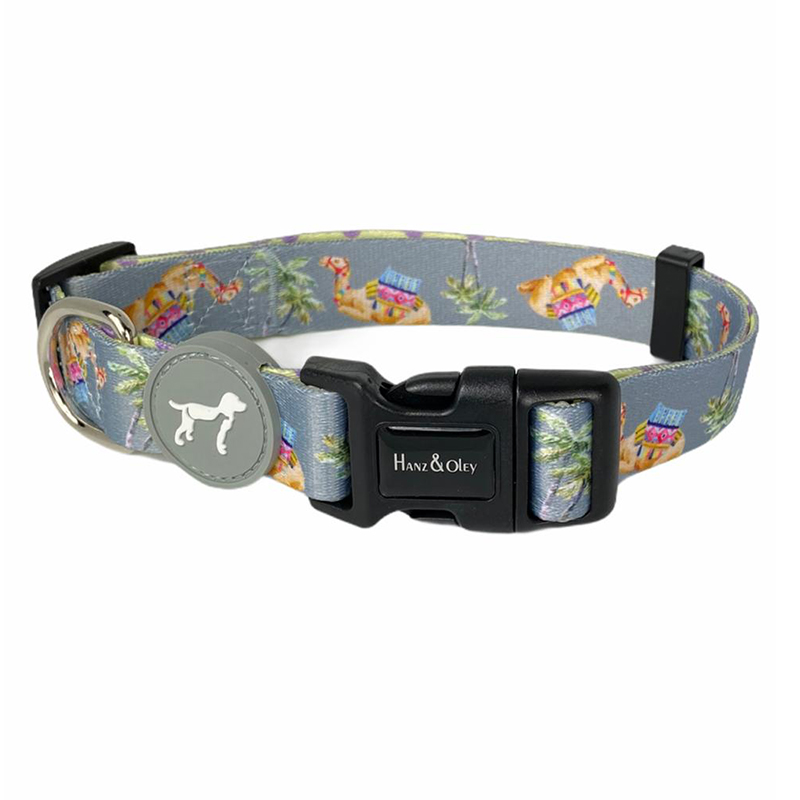 Camelia Dove Grey Collar