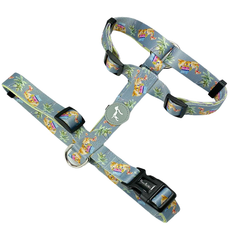 Camelia Dove Grey H Harness