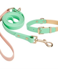 Soft Mint Green Waterproof - Two tone Leash and Collar set - leash 1.4mt