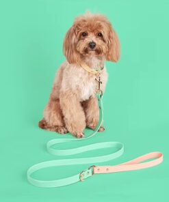Alternative view of Soft Mint Green Waterproof - Two tone Leash and Collar set - leash 1.4mt