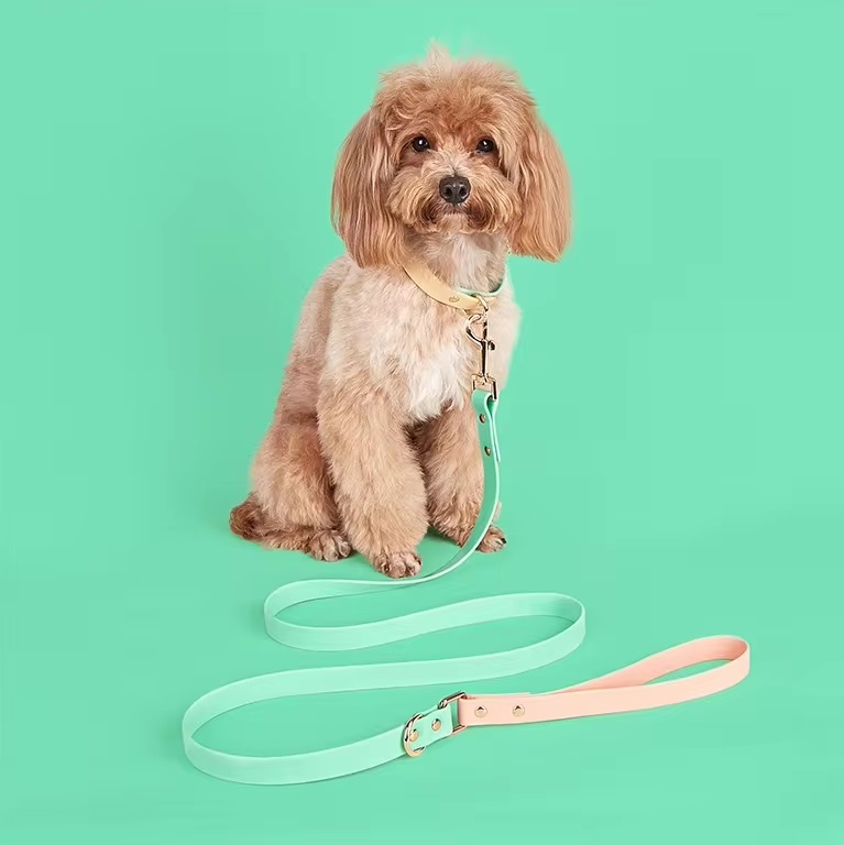 Soft Mint Green Waterproof - Two tone Leash and Collar set - leash 1.4mt - Image 2