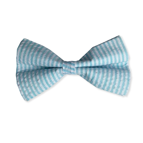RiverSide - Blue Bow Tie. By: Hanz & Oley