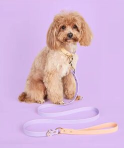 Alternative view of Soft Lilac Waterproof - Two tone Leash and Collar set - leash 1.4mt