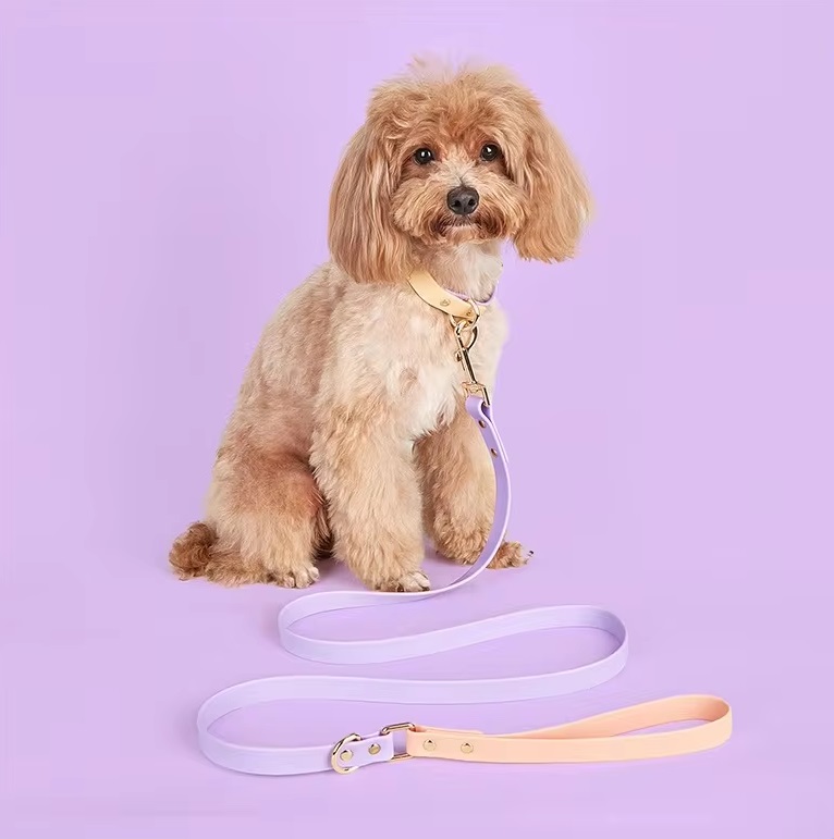 Soft Lilac Waterproof - Two tone Leash and Collar set - leash 1.4mt - Image 2