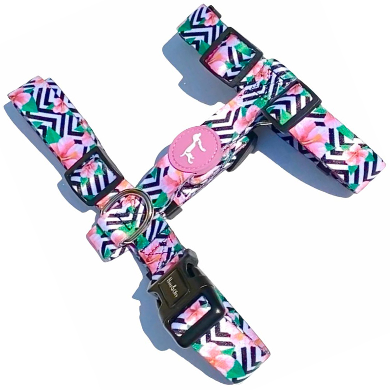 Hanz & Oley - Pink Petunia H Harness