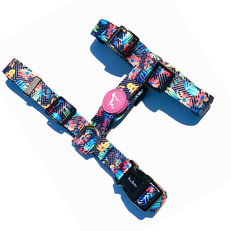 Unicorn Forest H Harness