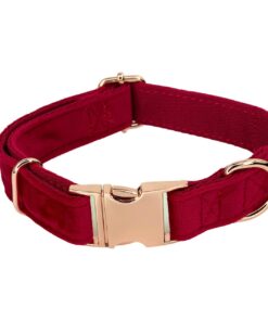 Alternative view of Hanz and Oley- Velvet Collar Red Rose