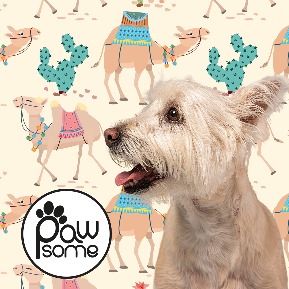 Pawsome - Camels on Tour Poo Bag Holder - Image 3