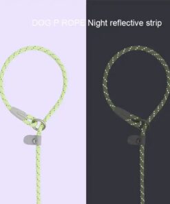 Alternative view of Candy Paw Slip Leash Denim Blue