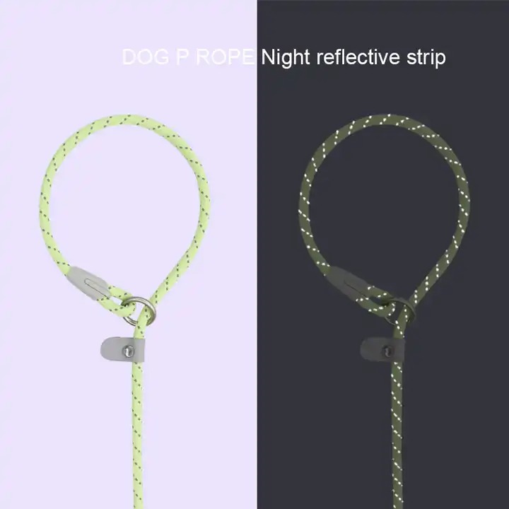 Candy Paw Slip Leash Tiffany Blue - Image 2