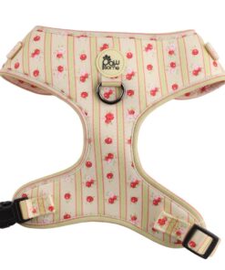 Laura and Ashley Vest Harness