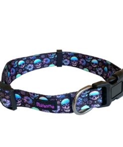 Skull Fantastic Dog Collar