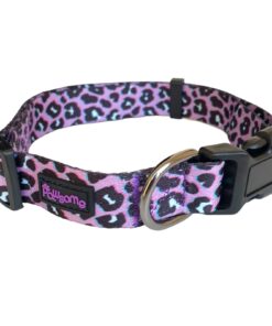 Pawsome - Lilac Leo Dog Collar