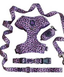 Alternative view of Pawsome - Lilac Leo Dog Collar