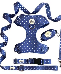 Alternative view of Kate Polka Dog Collar
