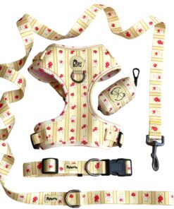 Alternative view of Pawsome - Laura & Ashley Leash for Dogs