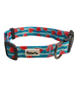 Pawsome - Pali Pet - Not Just a Watermelon" Dog Collar