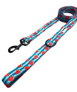 Pawsome - Pali Pet- Not just a watermelon Leash