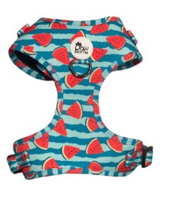 Pawsome- Pali Pet - Not Just a watermelon Vest Harness