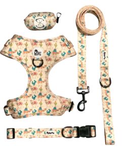 Alternative view of Pawsome - Camels on Tour Dog Collar
