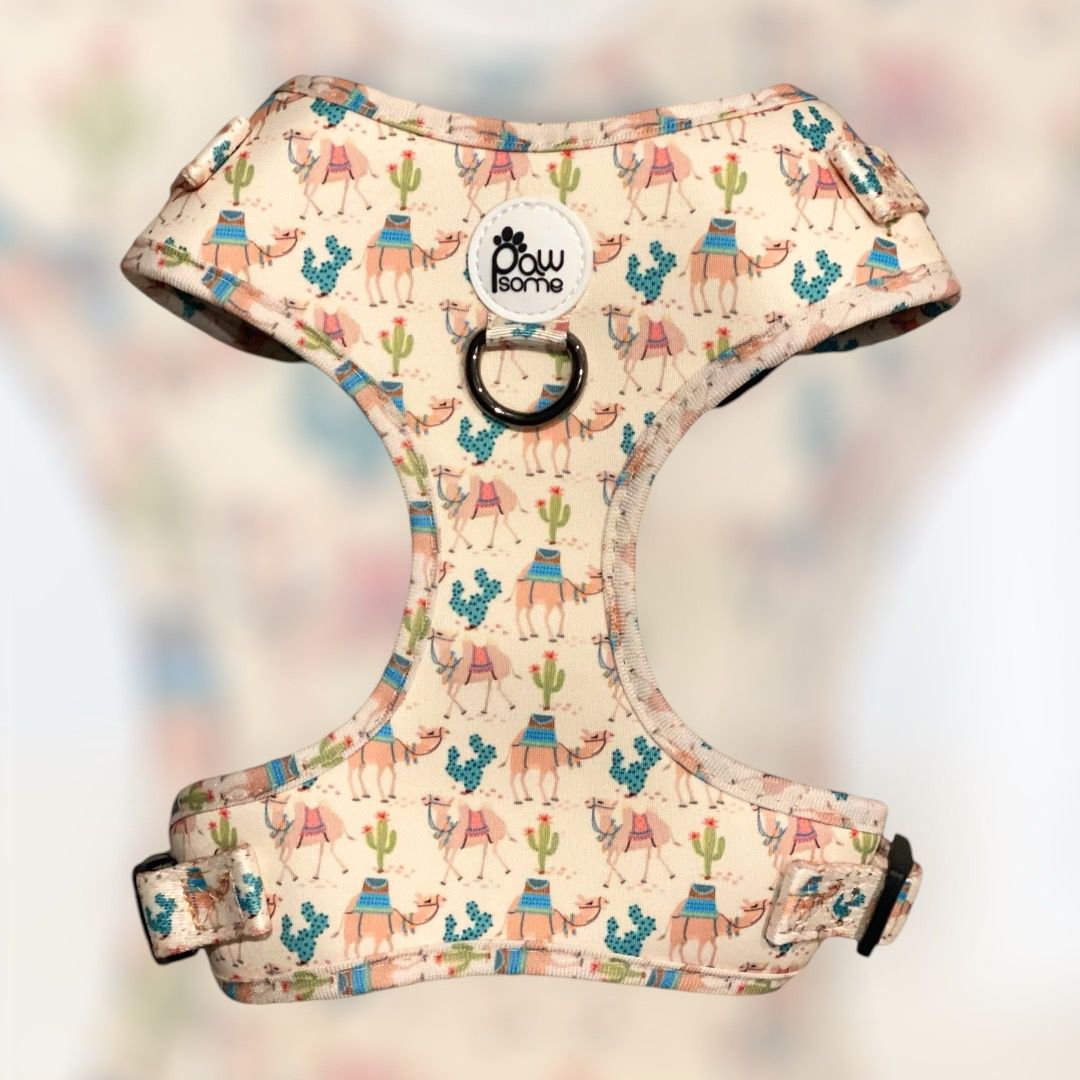 Pawsome - Camels On Tour Dog Vest Harness - Image 4