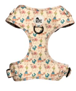Pawsome - Camels On Tour Dog Vest Harness
