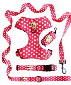 Alternative view of Laura Polka Dog Collar