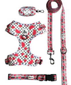 Alternative view of Pawsome - Pali Pet with Watermelon Harness