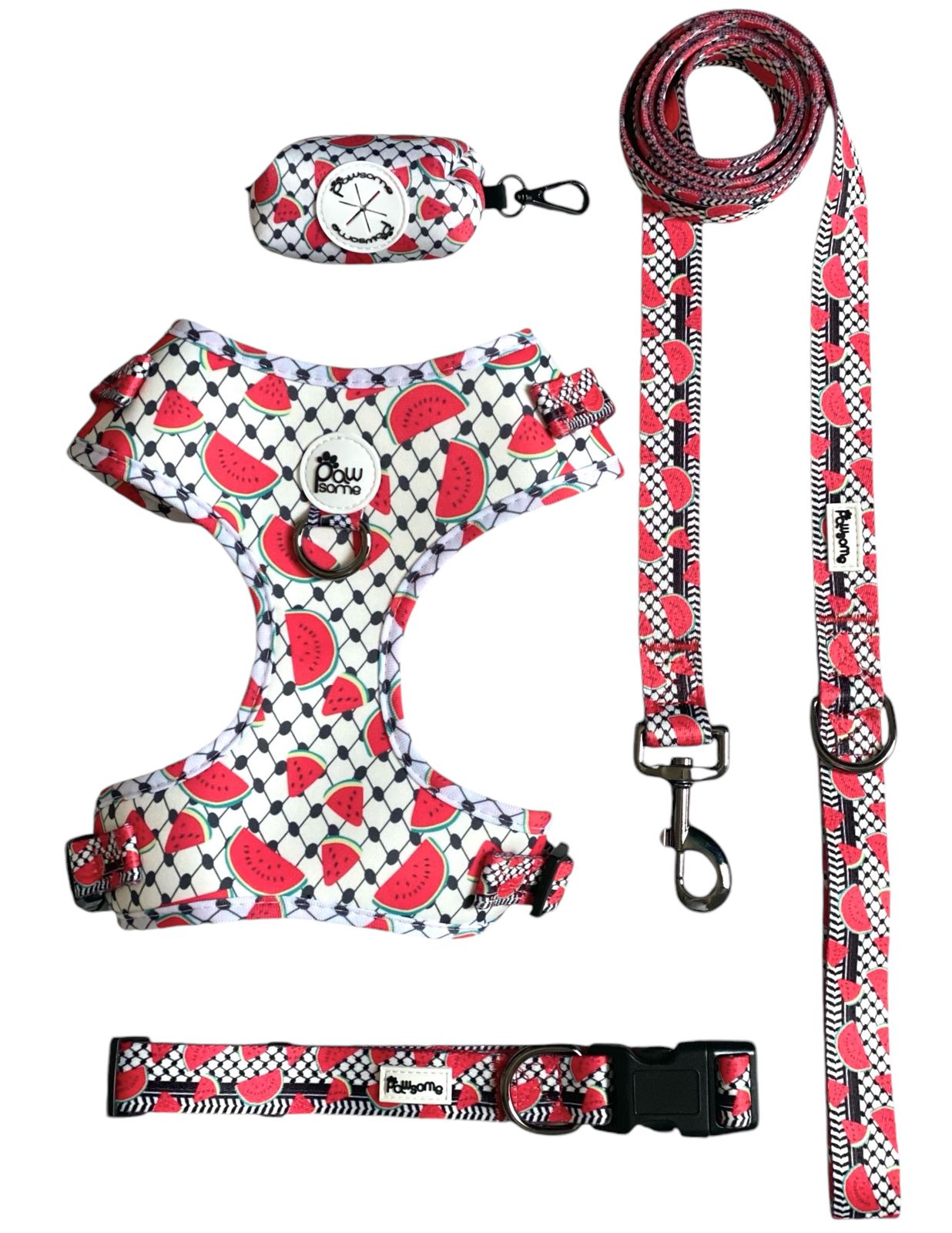 Pawsome - Pali Pet with Watermelon Harness - Image 2