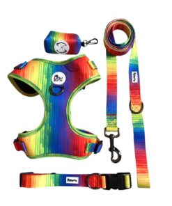 Alternative view of Pawsome - Full Spectrum of Love Dog Collar