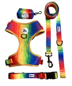 Alternative view of Pawsome - Full Spectrum of Love Dog leash