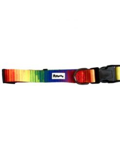 Pawsome - Full Spectrum of Love Dog Collar
