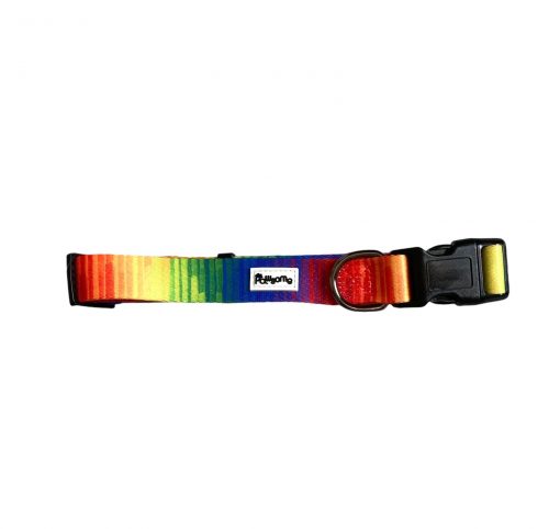Pawsome - Full Spectrum of Love Dog Collar