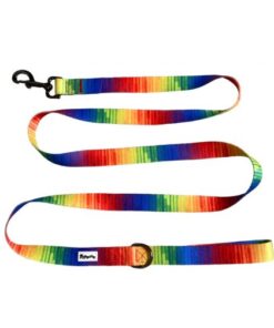 Pawsome - Full Spectrum of Love Dog leash
