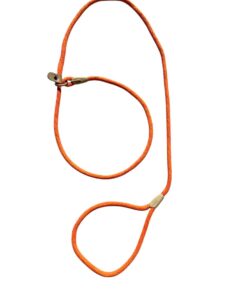 Candy Paw Slip Leash Orange