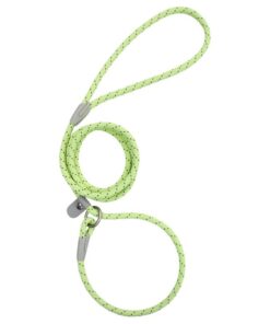 Candy Paw Slip Leash Mint Green