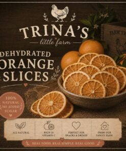 Dehydrated Orange Slices (30+ in a Pack)