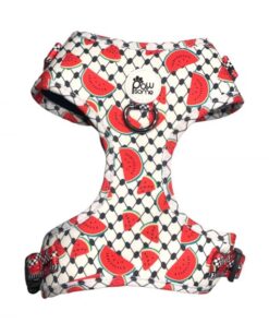 Pawsome - Pali Pet with Watermelon Harness
