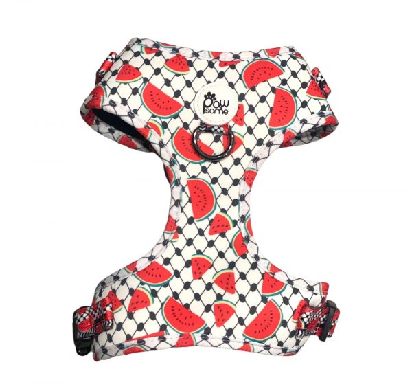 Pawsome - Pali Pet with Watermelon Harness