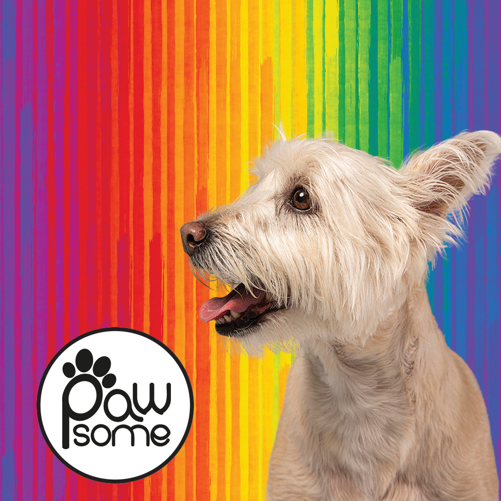 Pawsome - Full Spectrum of Love Dog Collar - Image 3