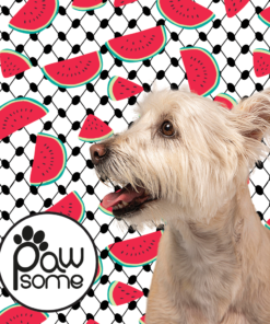 Pawsome - Pali Pet with watermelon Leash