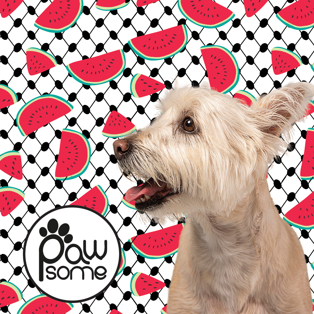 Pawsome - Pali Pet Watermelon Poo Bag Holder - Image 3