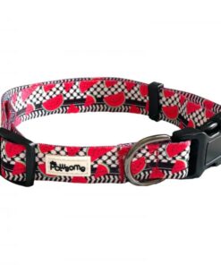 Pawsome - "Pali Pet Watermelon" Dog Collar