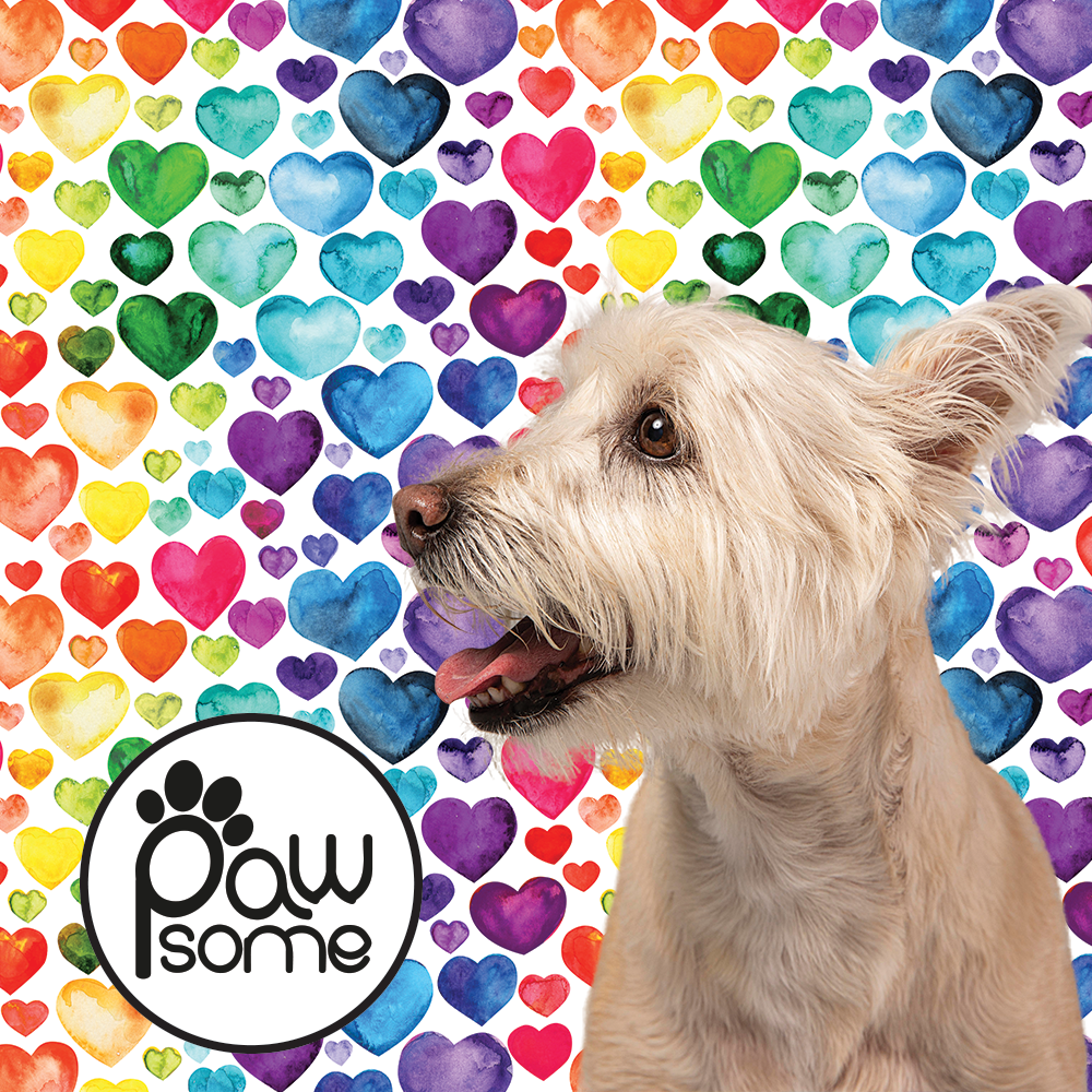 Pawsome - Love Just is Dog Leash 1.8mt - Image 3